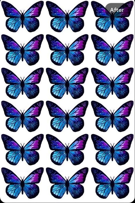 Kapalak buket listlari