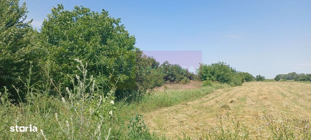 Săbăreni, teren intravilan 665 mp, aproape de DJ 602