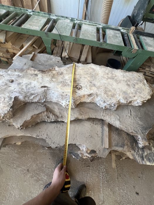 Blaturi mese bucati plop bubos