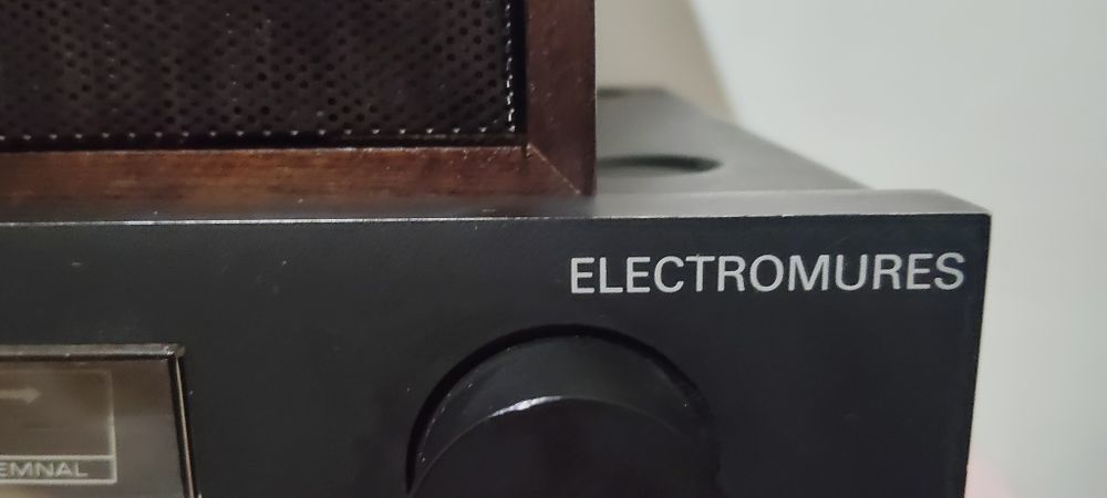 Amplituner Stereo Delia