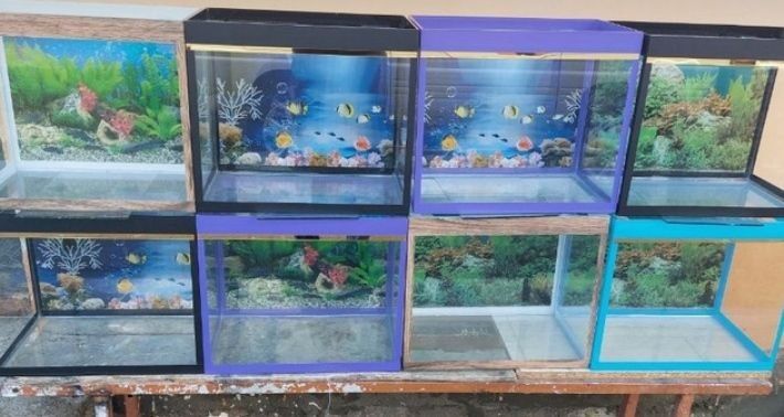 Аквариум разные виды