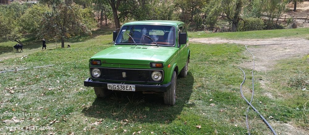 Radnoy NIVA 4 balon yangi chirigi yoʻq suvarka tegmaga li salon qiling