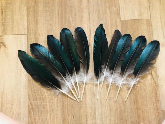 Pene de rata 25 bucati