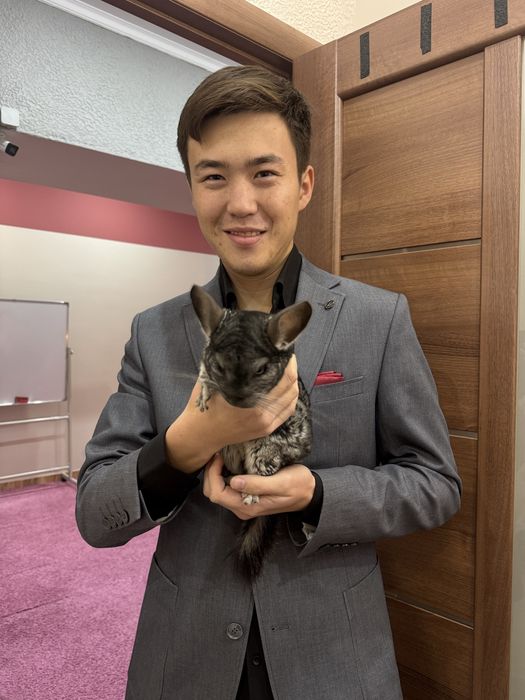 Продаются шиншиллы