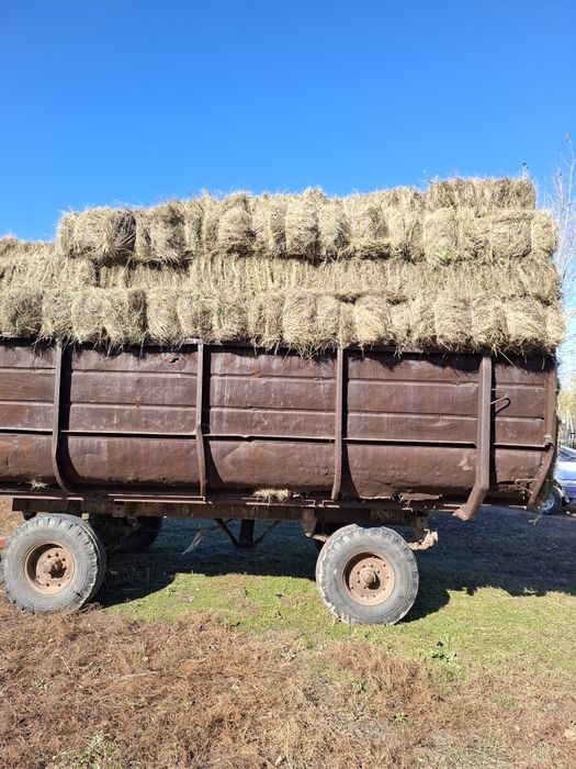 Продам сено в тюках.