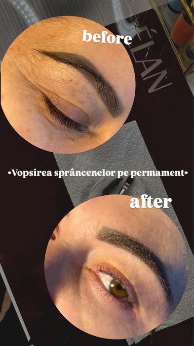 Sprâncene Arad Aurel Vlaicu