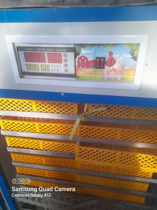 Инкубатор сотилади. 1000 талик