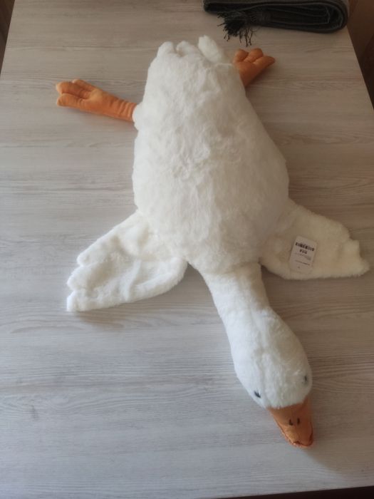 120000 сомдан урдакча ва гул нархи