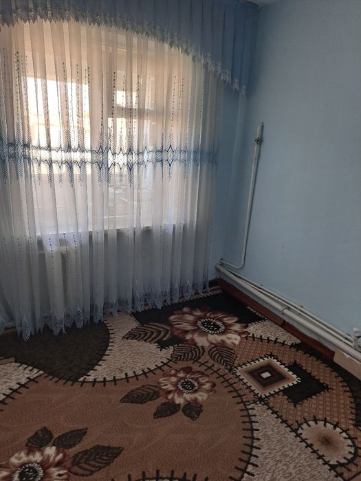 Кора камиш 1/2 1хона