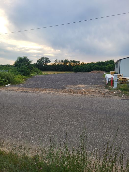Vând teren intravilan  Tautii Magheraus