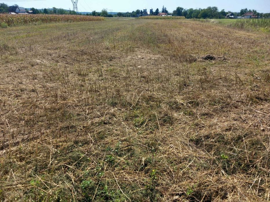 Teren cu suprafața de 5013mp , în Bratia din Deal, com. Galicea , jud. Vâlcea