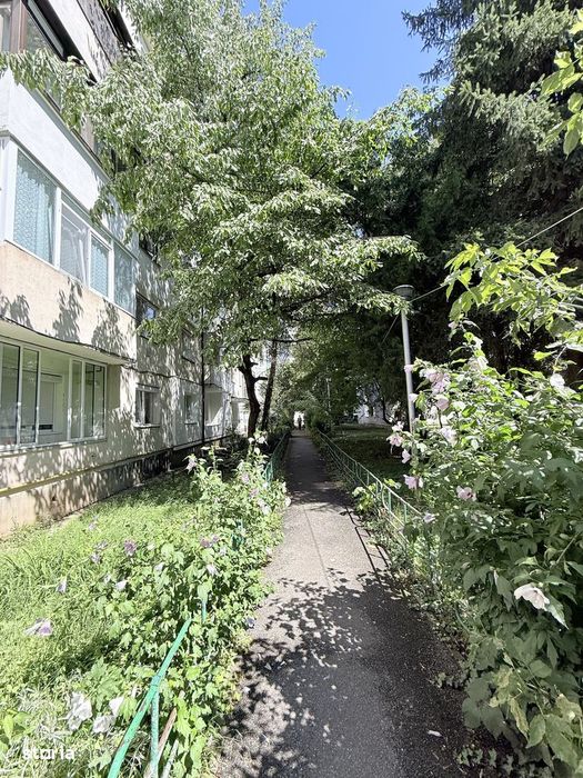 Ap 2 camere 55 mp - mobilat - zona centrala - Str Schelelor