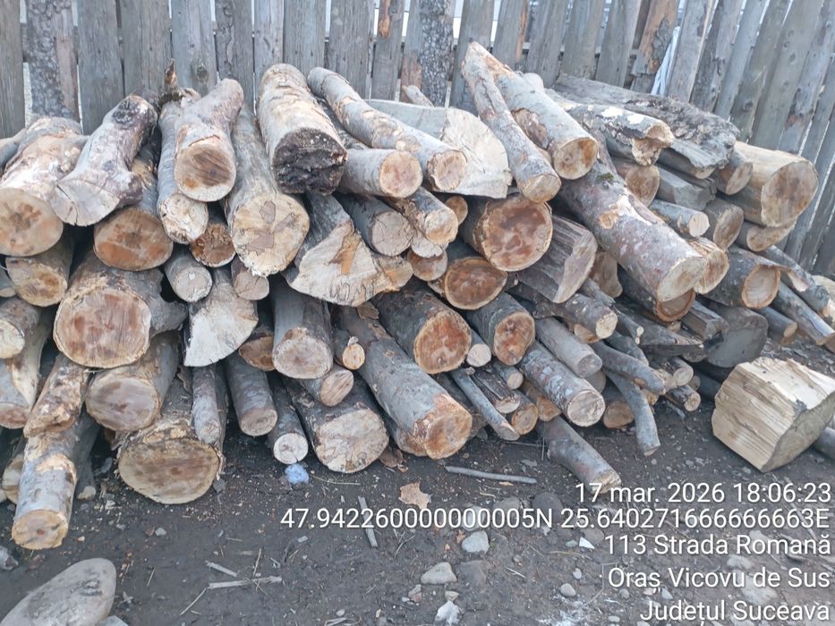 Vând fag uscat 320 lei metru ster