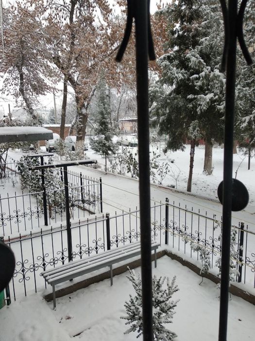 Металлический забор