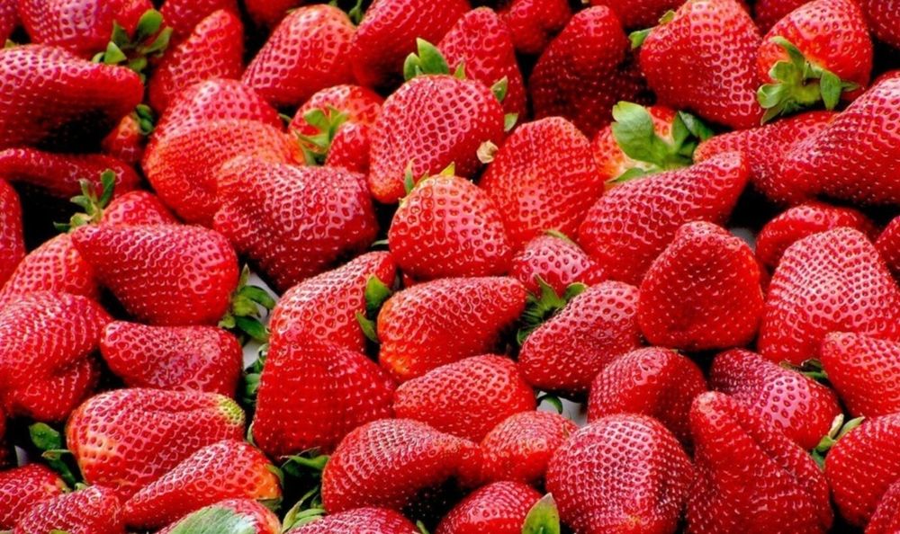 Клубника Египетские