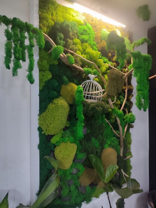 Пано Стабилизированный Мох , Ягель Кочки Пласт Коряги Лава Блек,