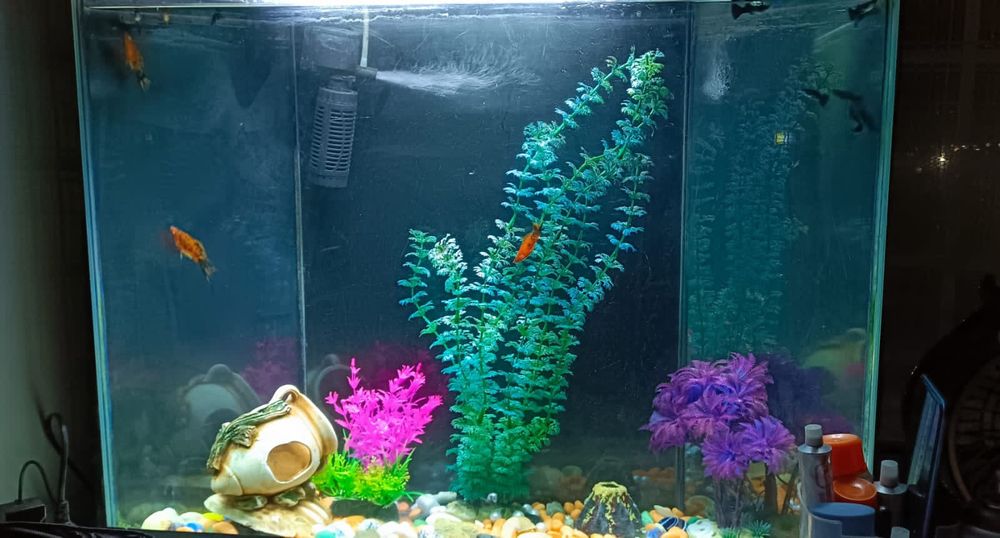 Аквариум 45 литров