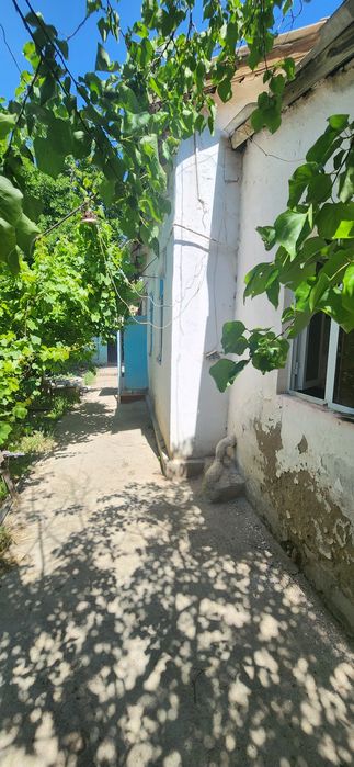 Ховли ижарага берилади