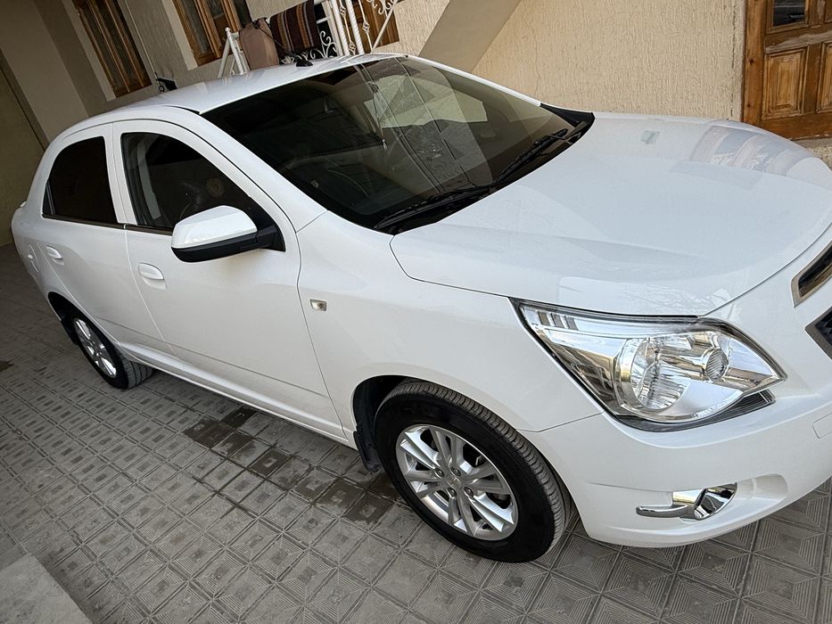 Cobalt style  2024yil