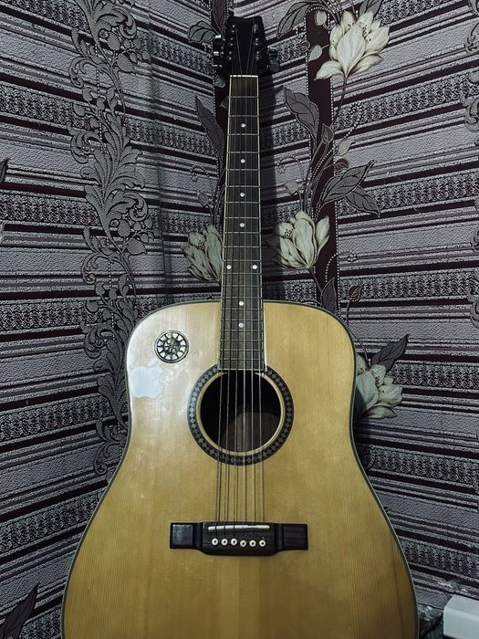 ГИТАРА Копадастер чехол все комплекте