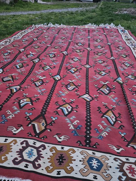 Чипроски килим..