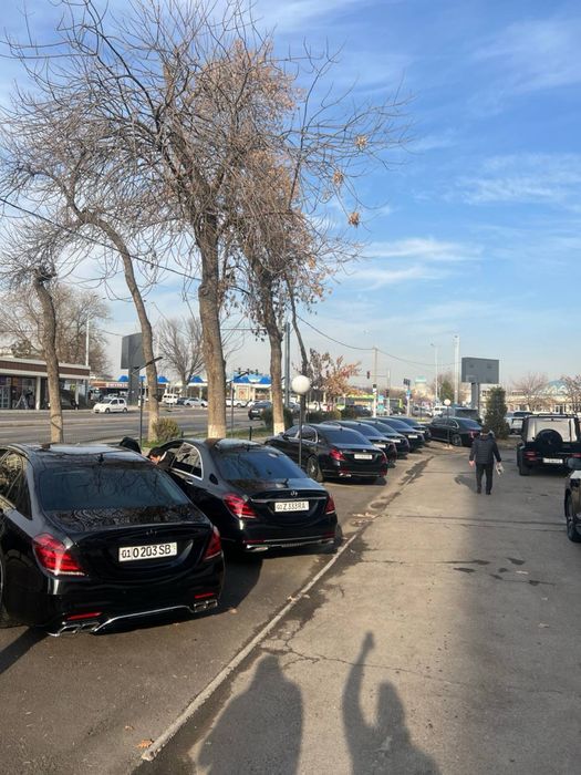 Raddom To’yga kartej