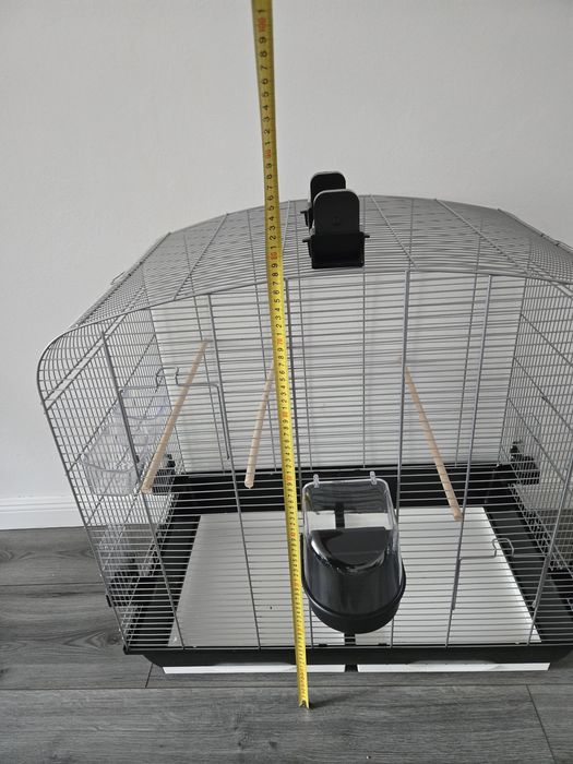 Cusca papagali spatioasa