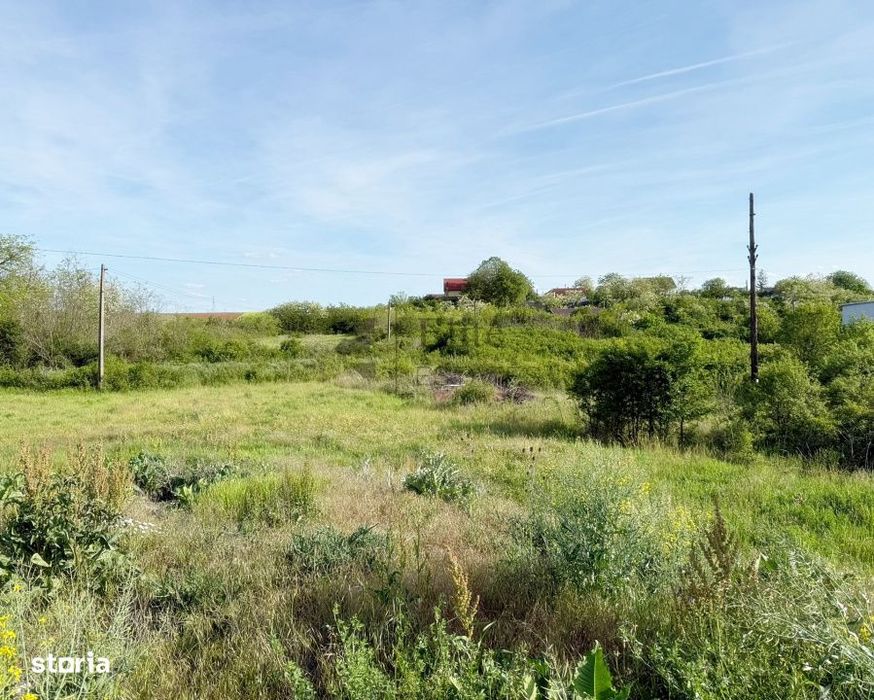 Teren intravilan 5680 mp la E671 / DN in Les, Bihor