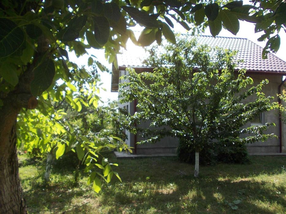 Casa langa lac + teren mare, panouri fotovoltaice.