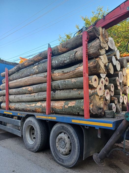 Aduc lemne la comandă