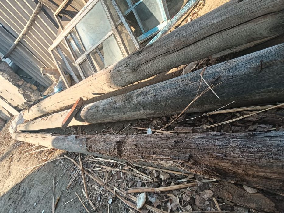 Бөрене сатам біреуі 5000₸