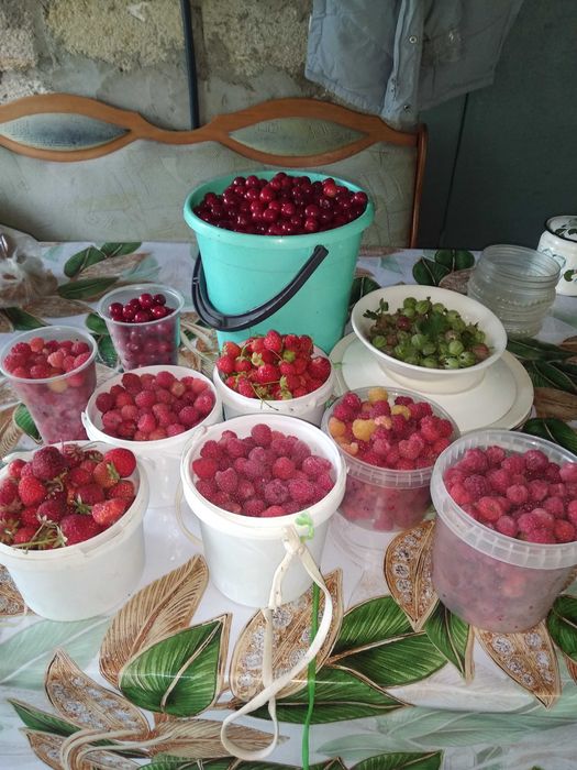 Продам дачное свое варенье 2000 тенне