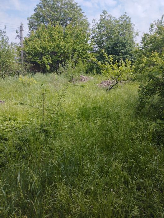 Паркетн навбахор дача