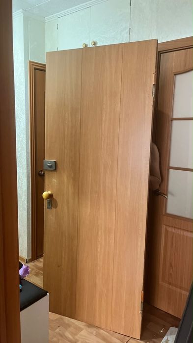 Входной дверь двойной