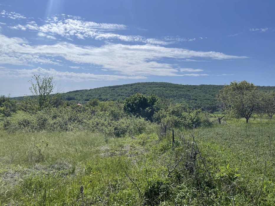 Продава се Парцел в с. Винарово, Област Стара Загора - 1720 кв.м за 25 €/кв.м - Снимка #6