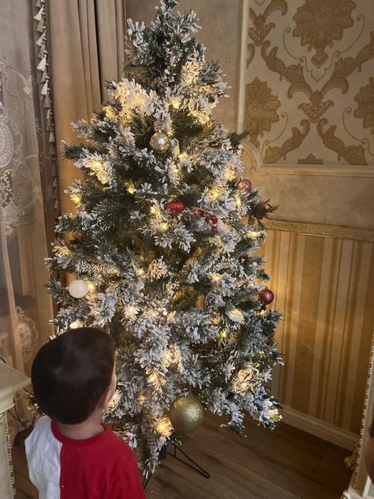 Елка продам 1,70 см