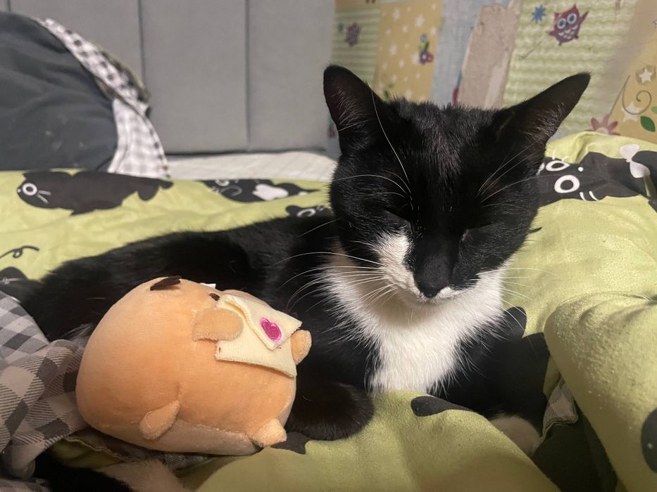 кошка стилизованная