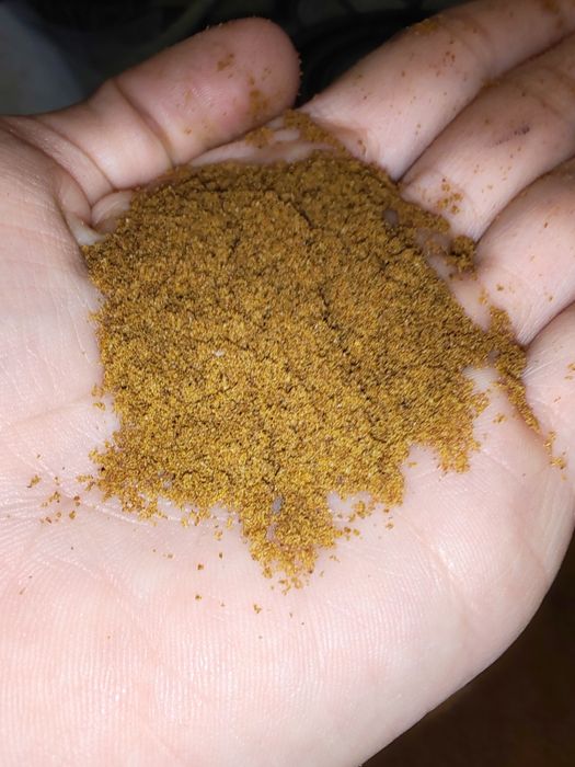 Hrana sak Pesti acvariu granulație 0,0/0,1 mm