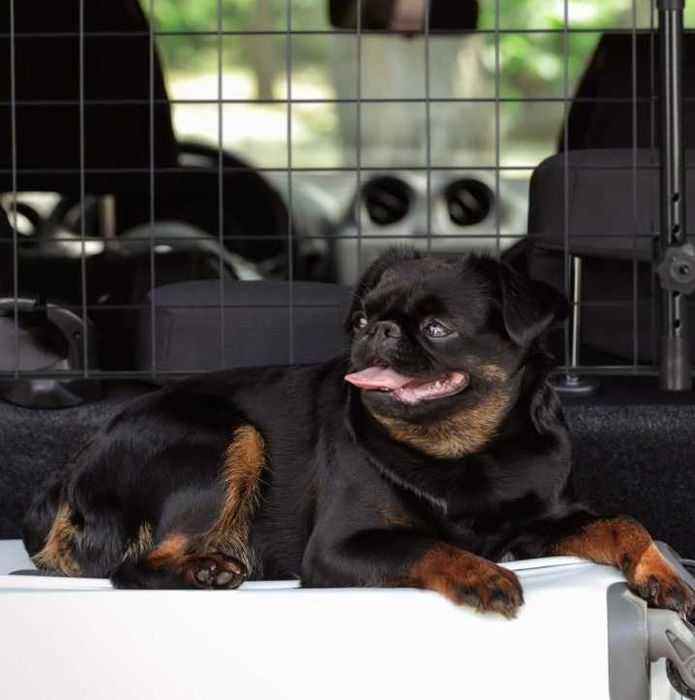 Метална преграда за кучета и др. домашни любимци, от 106см до 145см