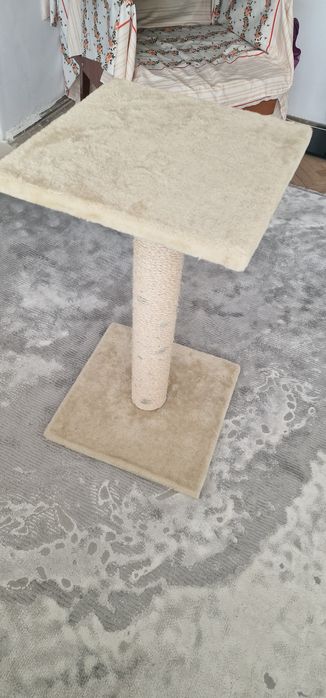 Masa sisa pt pisici noua