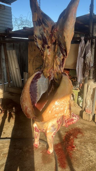 Жылкы/Конина/Сиыр/Говядина