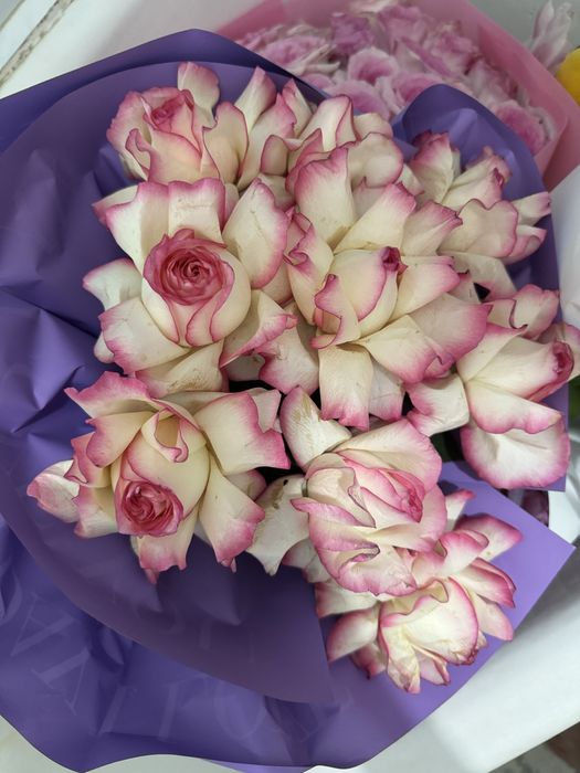 Продам цветыыыыыыыы