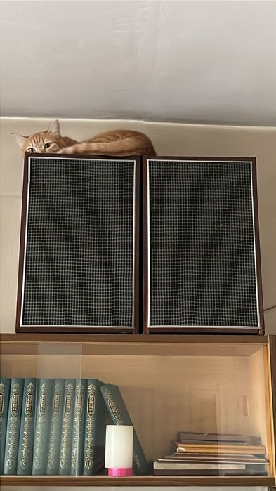 Продам колонки советские