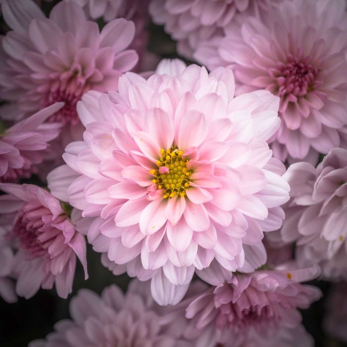 Sony NEX 5N комплект