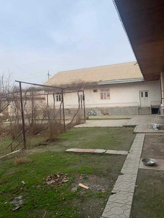 6 so'tixlik uchastka