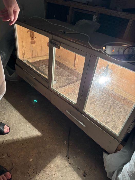 Брудер и сетка для цыплят