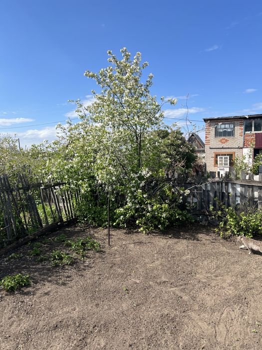 Продам или сдам в аренду дачу