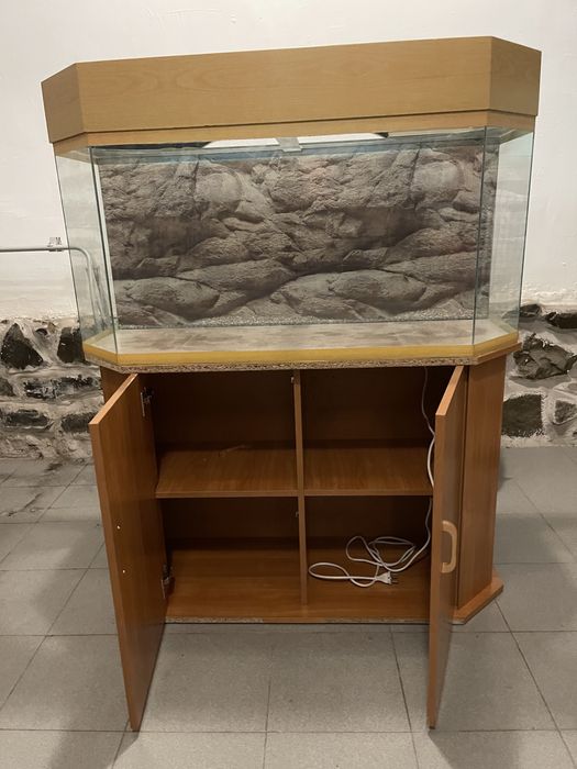 Аквариум более 200л