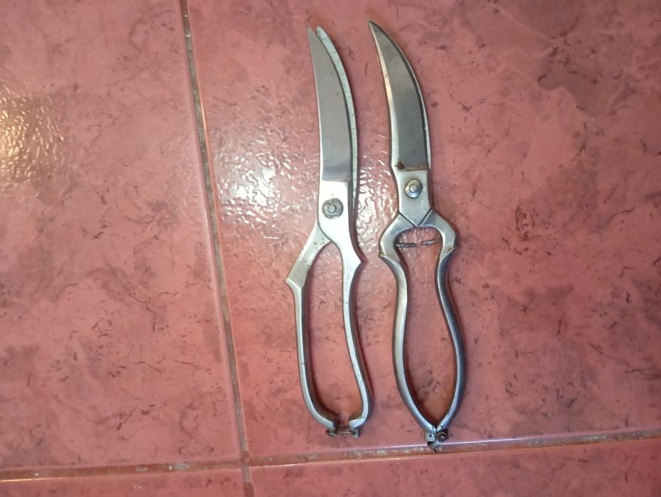 Foarfeci  pentru pui