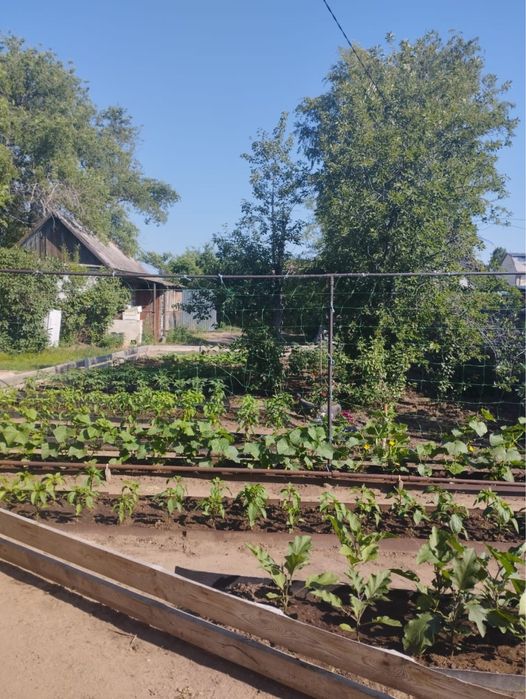 Продам дом 95 кв. м. в садоводсте явлонька